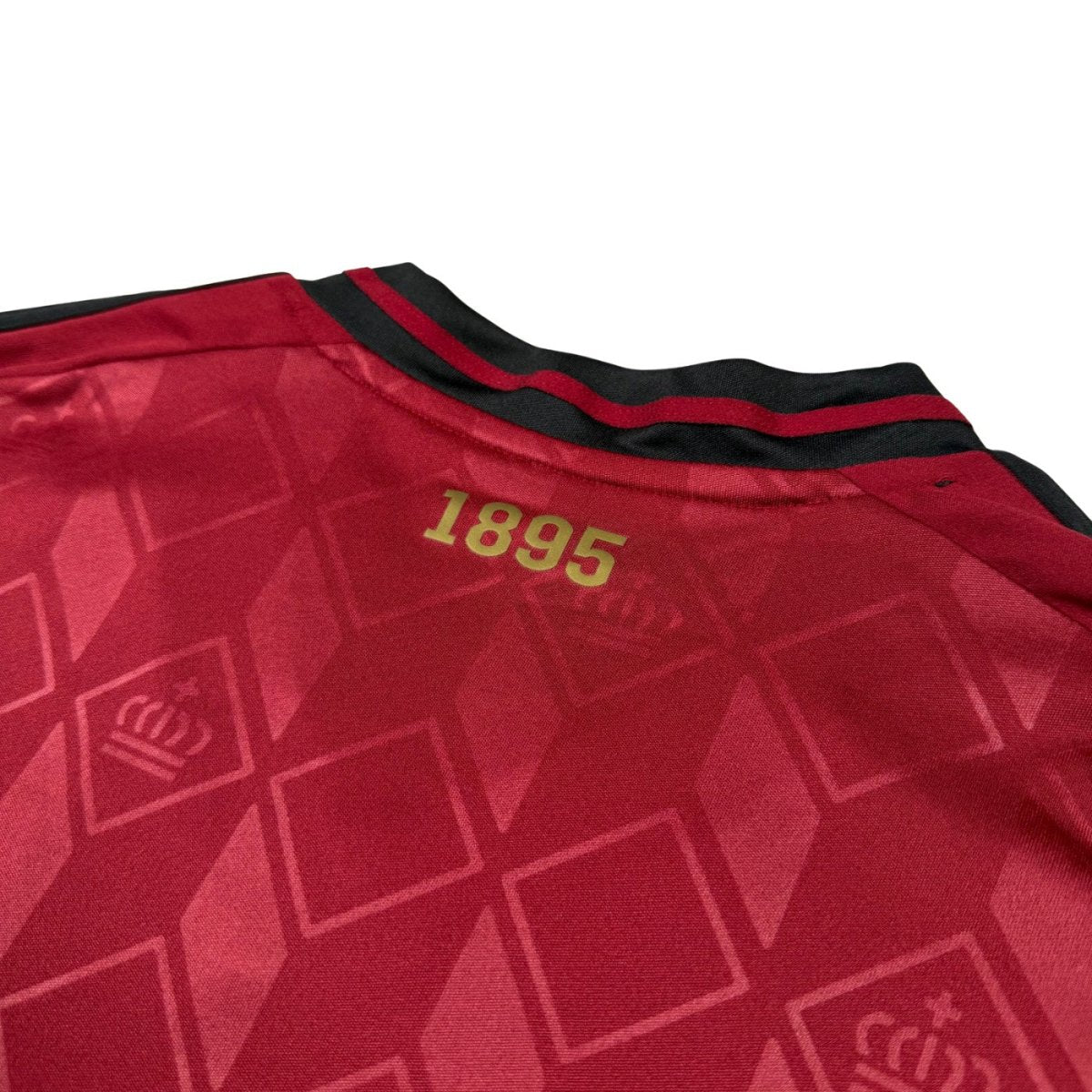 2024/25 Belgique Domicile (L) - Iconic Football Shop