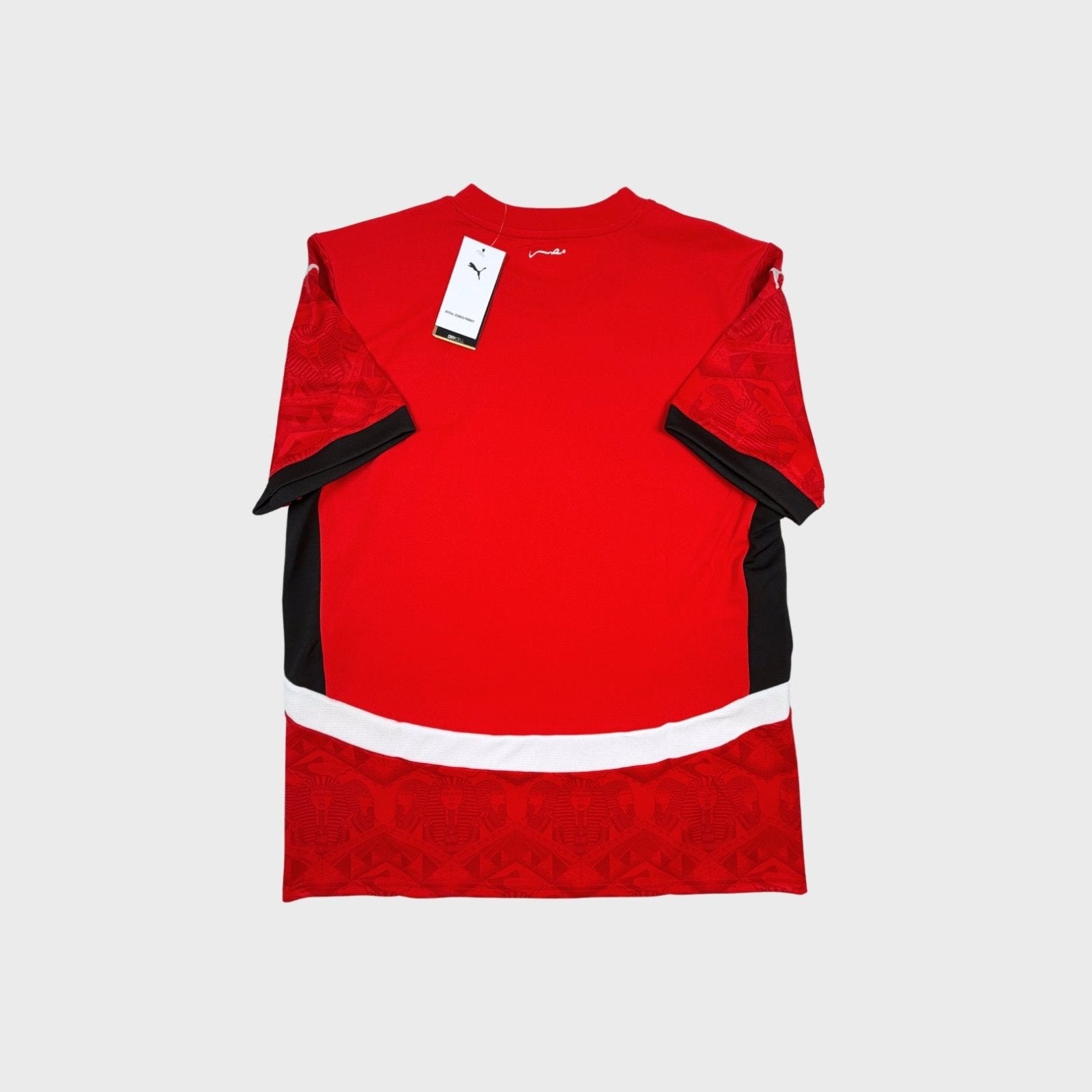 2024/25 Egypte Domicile (L) - Iconic Football Shop