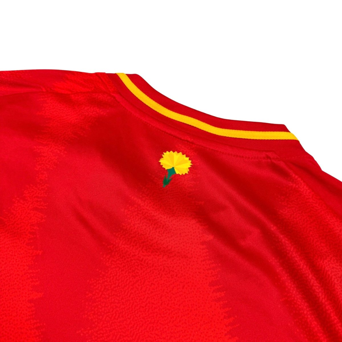 2024/25 Espagne Domicile (L) - Iconic Football Shop