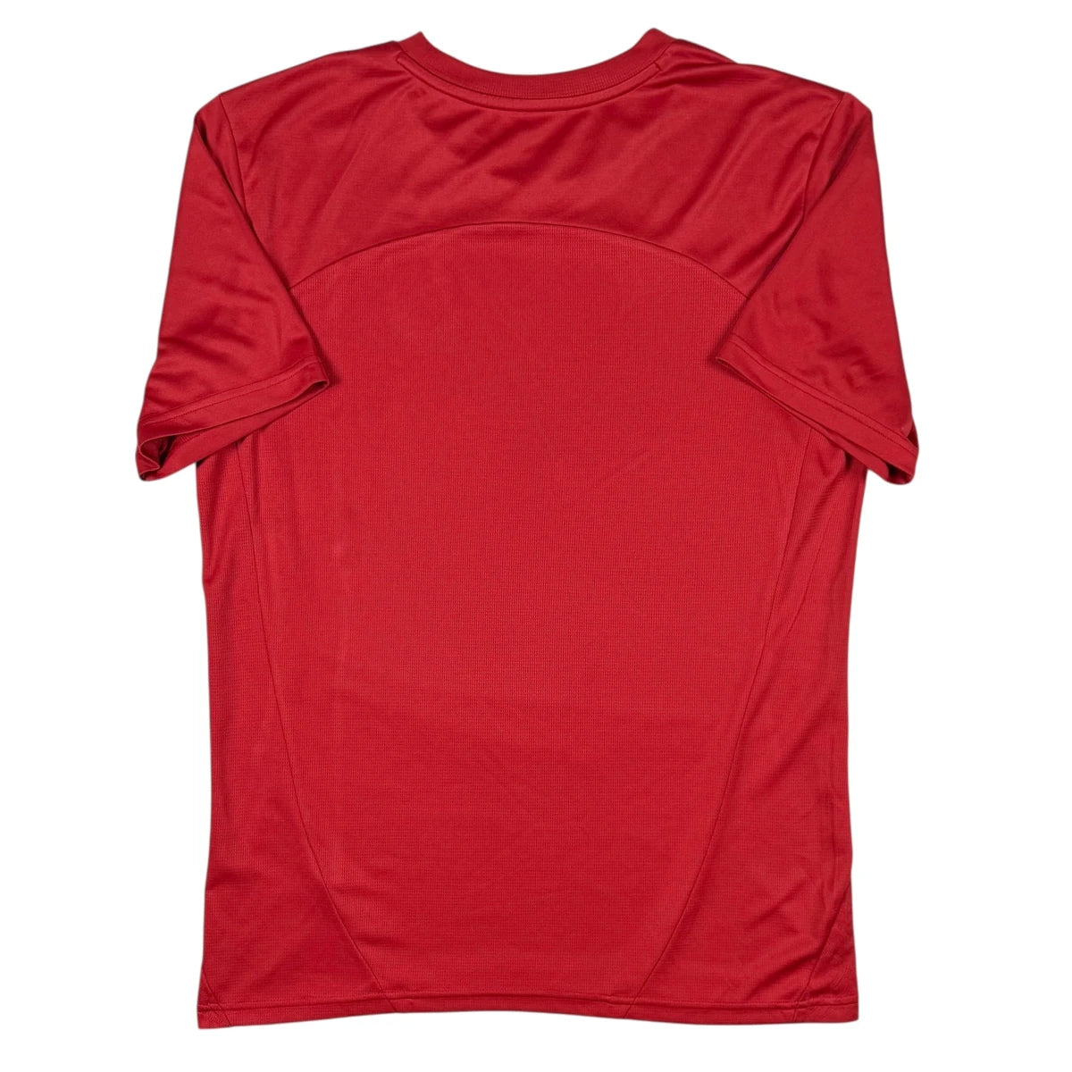 2024/25 Galatasaray Entraînement (L) - Iconic Football Shop