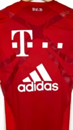 2010_11-Bayern_Munich-Entraînement-*Pro*-(L)1