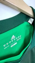 2010_11-Saint_Etienne-Domicile-(M)
