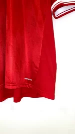 2013_14-Bayern_Munich-Domicile–Götze_19-(2XL)1