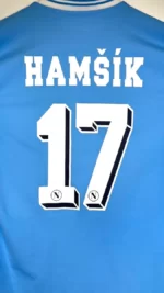 2013_14-Naples-Domicile-Hamsik_17-(2XL)2