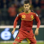 2012/13 Belgique Domicile (L) – Image 6