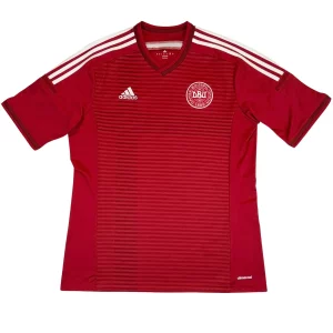 2014/15 Danemark Domicile (L)