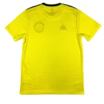 Maillot de l'Ecosse 2018 19 Domicile