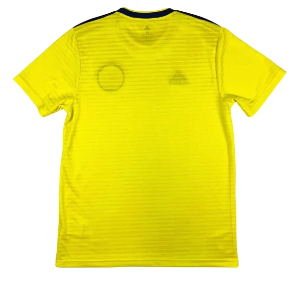 Maillot de l'Ecosse 2018 19 Domicile