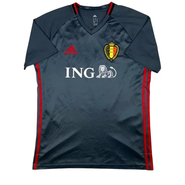 Maillot de la Belgique 2015 16 Entraînement Carrasco 11