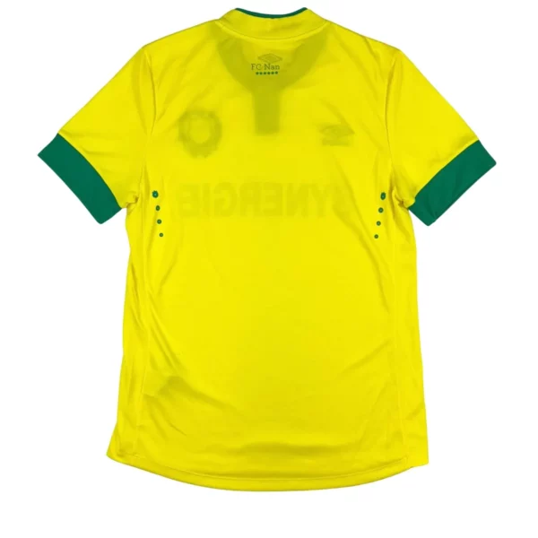 Maillot de Nantes 2014 15 Domicile