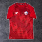 Maillot de Lille 2023 24 Entraînement signé