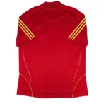 Maillot de l'Espagne 2007 09 Domicile