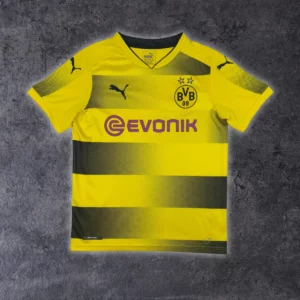 2017/18 Dortmund Domicile (13/14a)
