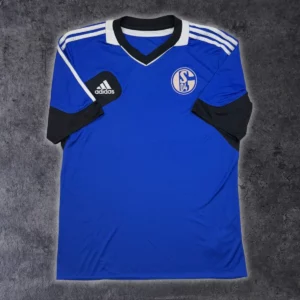 2011/12 Schalke 04 Entraînement *CHAMPIONS LEAGUE* (L)
