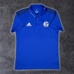2017/18 Schalke 04 Entraînement (L)