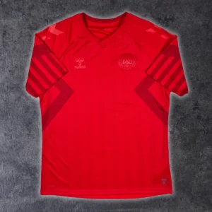 2022/23 Danemark Domicile (XL)