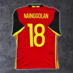 2016/17 Belgique Domicile - Nainggolan 18 (S)
