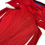 2010/11 République Tchèque Domicile (S) – Image 3