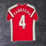 2008/10 Arsenal Domicile - Fabregas 4 (10/12a)