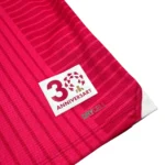 2024 Cerezo Osaka Domicile (L) – Image 3